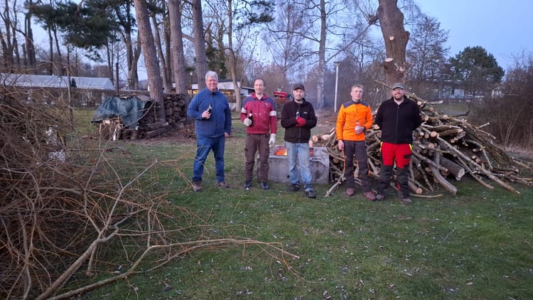 Achtung ... Baum fällt