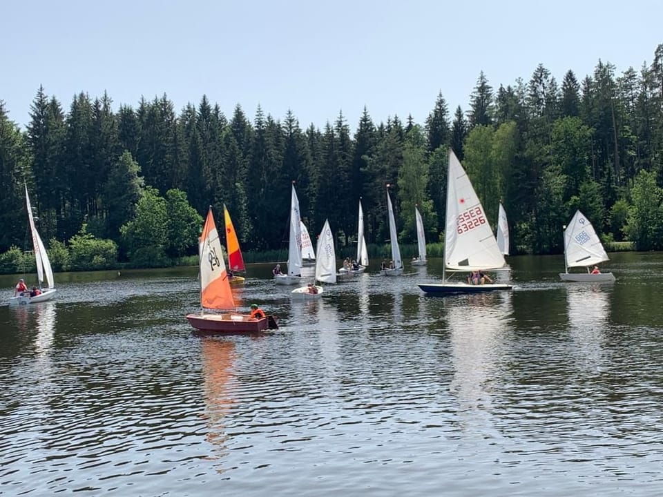 Regatta am Haselbachsee 2026